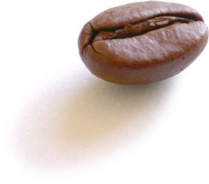 coffee_bean_single coffee_bean_single